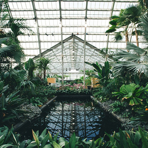 精品美白大屁股Ass
